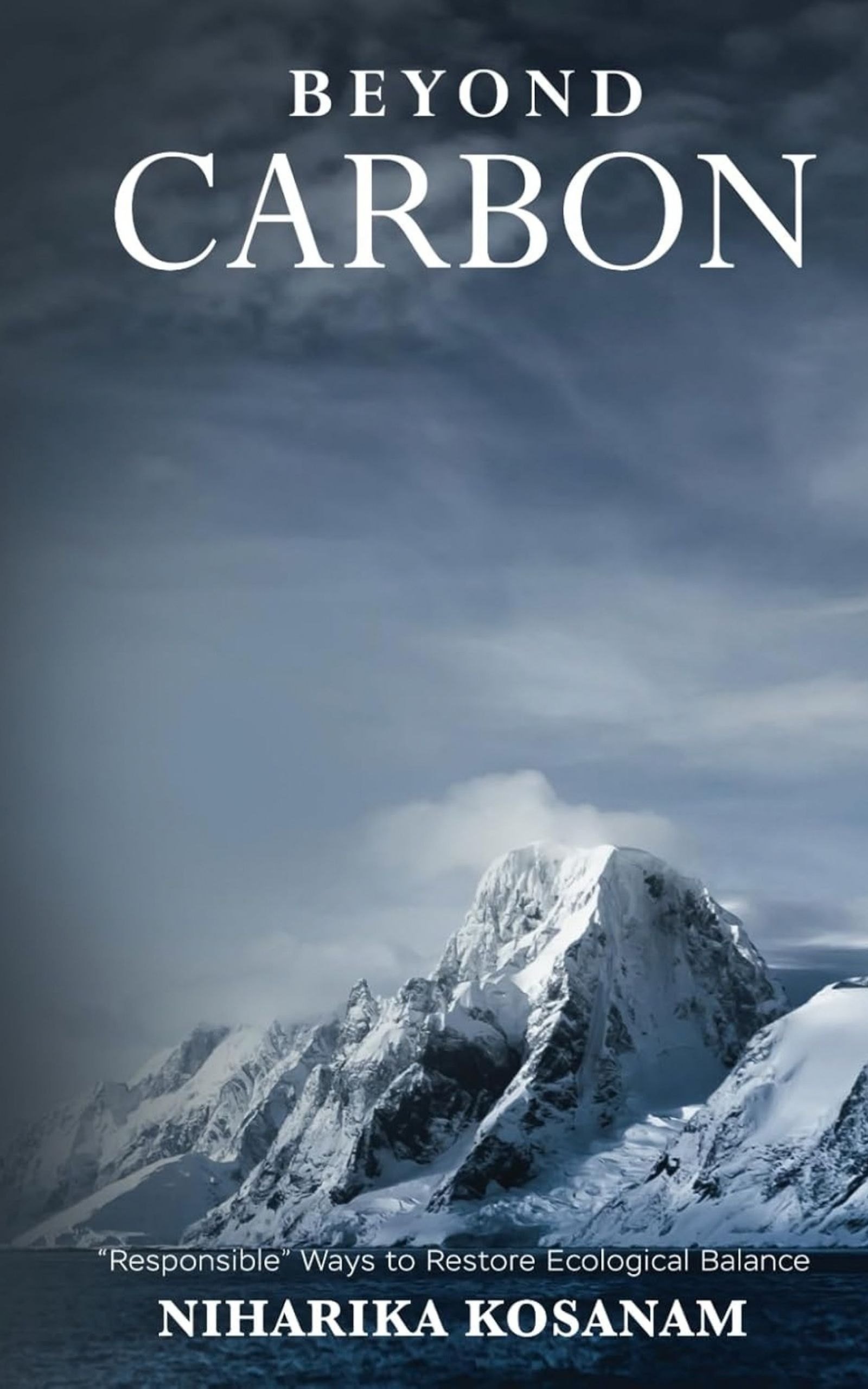 Cover of Beyond Carbon